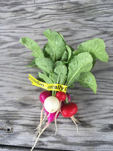 Radishes